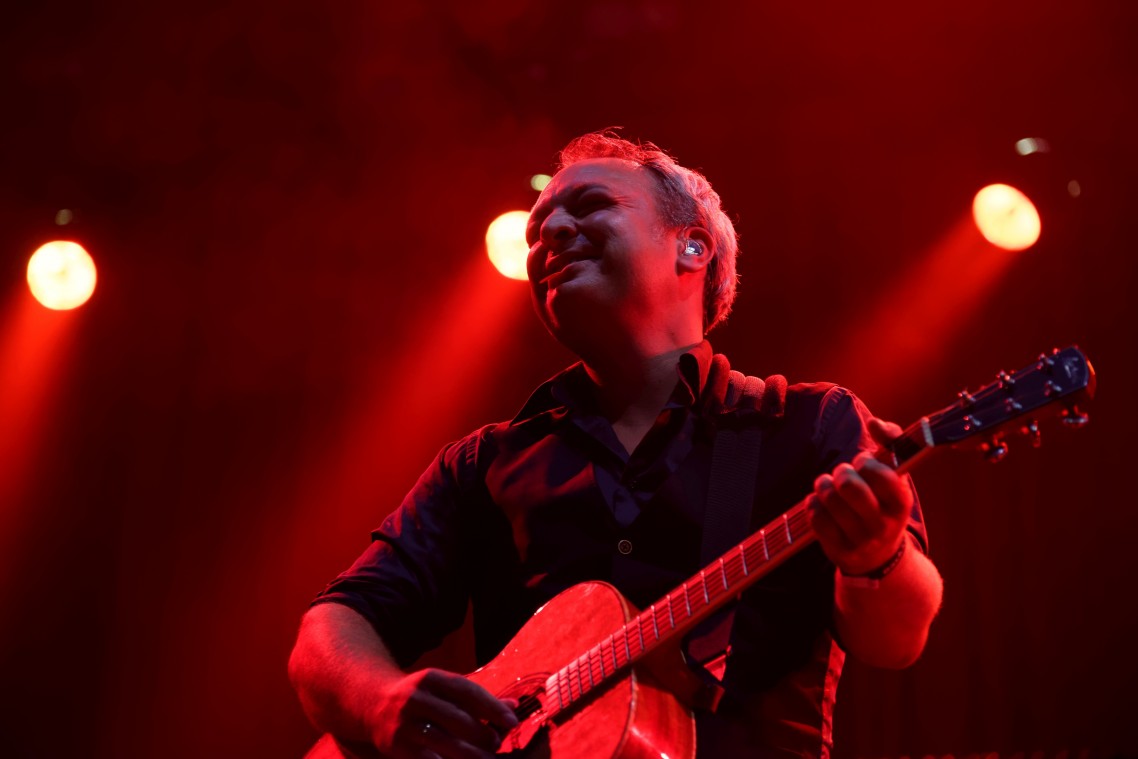 Live in Meppel - Racoon - 01