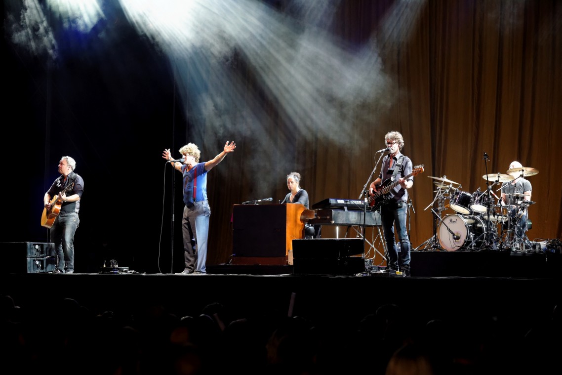 Live in Meppel - Racoon - 05