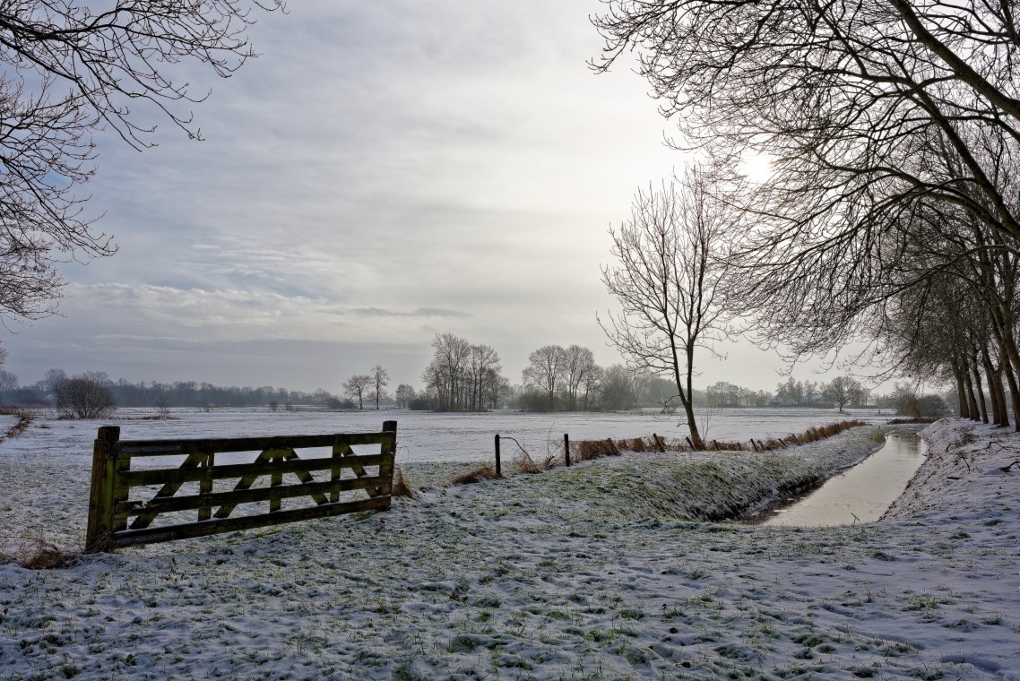 Sneew Meppel - 01