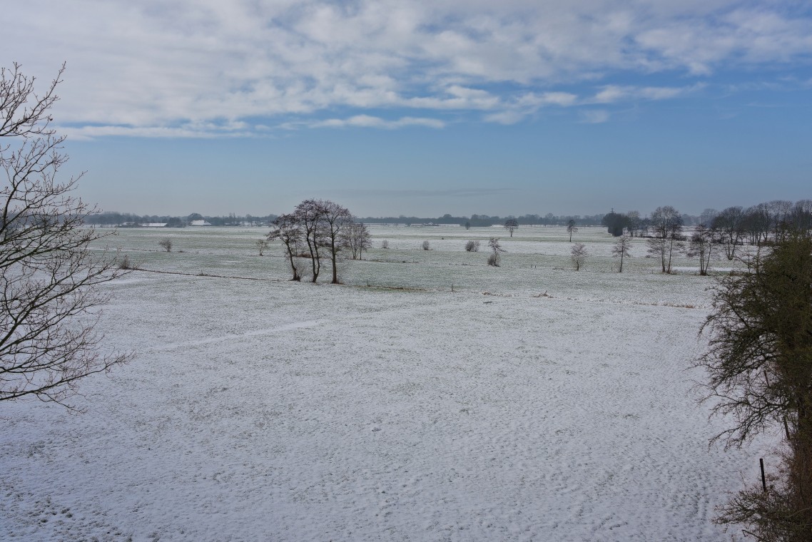 Sneew Meppel - 02