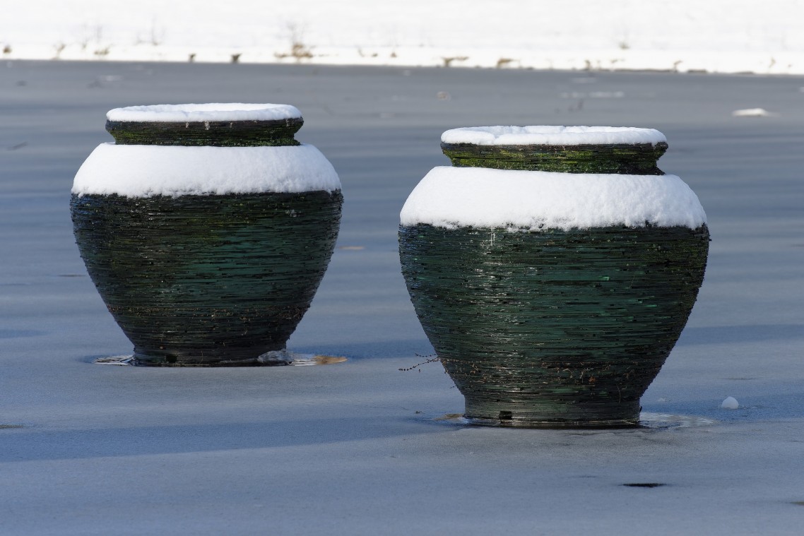 Sneew Meppel - 07