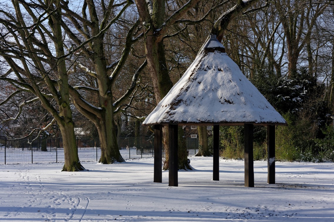 Sneew Meppel - 10